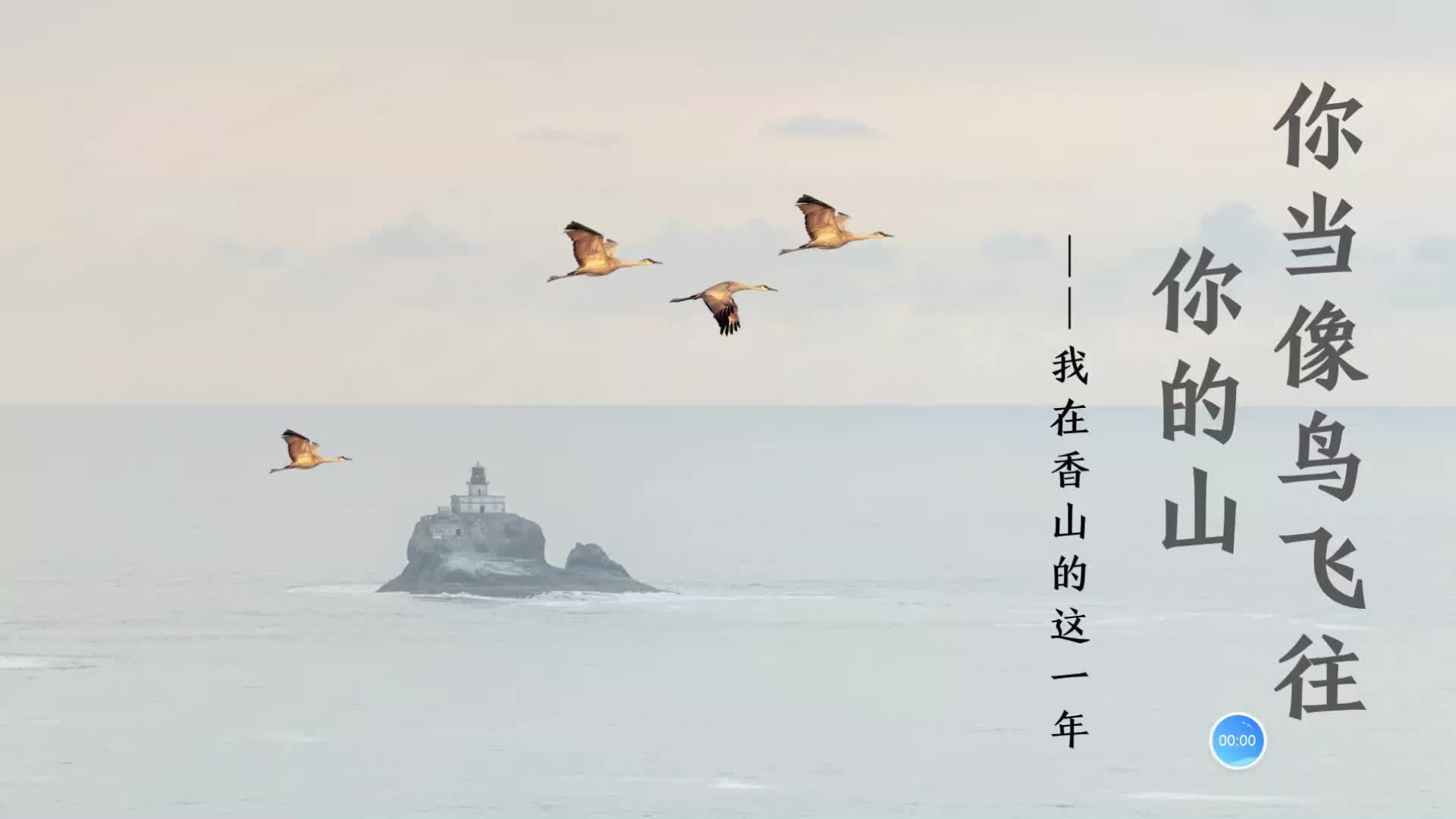 2021年新教师优秀学员经验分享（王璐瑶）