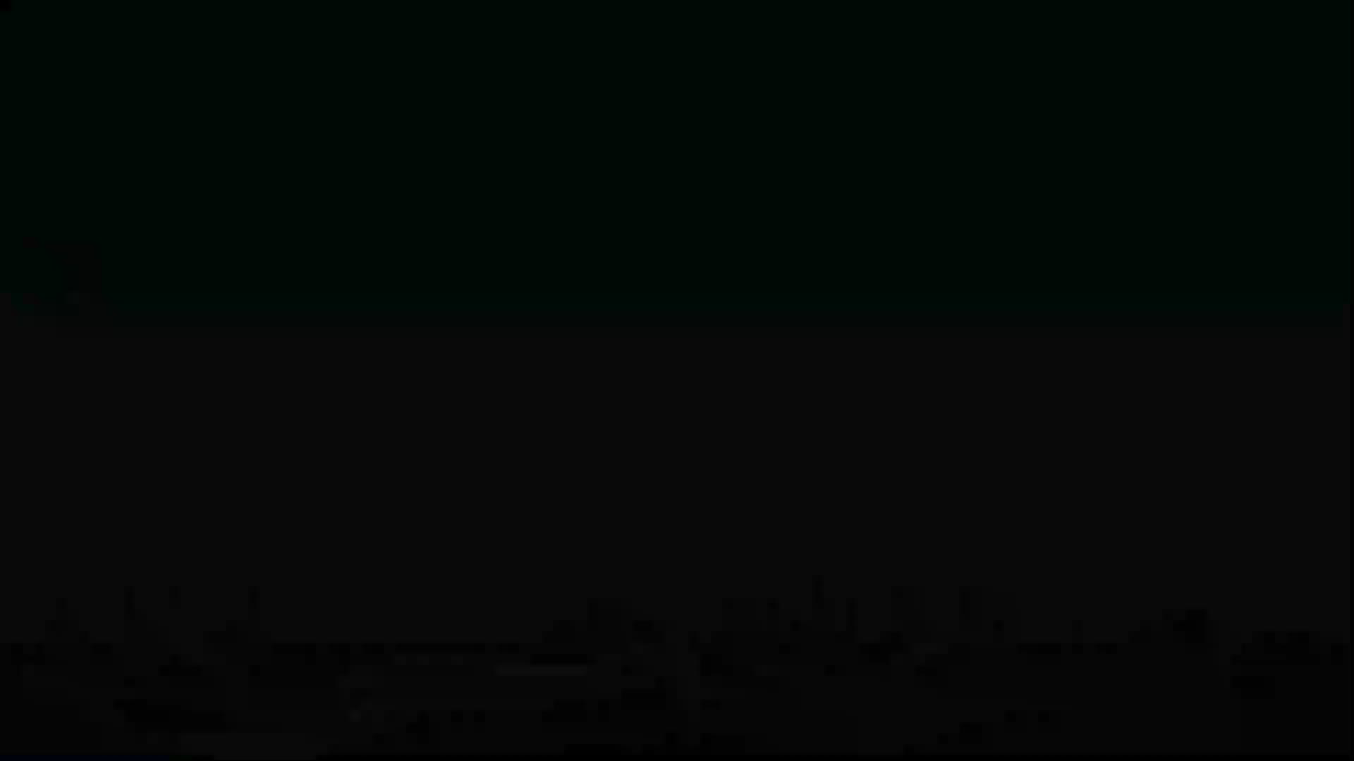 四上《夜间飞行的秘密》岑桢（上海）.mp4